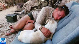 戦地で芽生えた兵士と犬の友情。その運命的な出会いは奇跡をおこしました【感動】