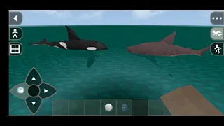 Survivalcraft Orca vs great shark