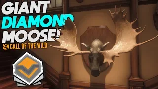 Diamond Moose With The New Bow! | theHunter: Call Of The Wild (New Update)