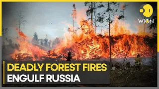 Wildfires rage in Russia's Urals | WION Climate Tracker