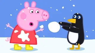 Peppa Pig Plays with Penguins at the South Pole | Peppa Pig Official Family Kids Cartoon