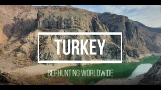 Hunting in Turkey | Bezoar Ibex