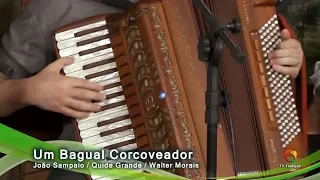 Um Bagual Corcoveador - João Luiz Corrêa & Grupo Campeirismo (Programa A Voz da Tradição)