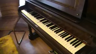 Tiny Toon Adventures Theme piano-roll arrangement by Max Demski