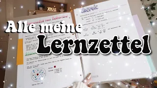 Alle meine Lernzettel📝 | kathie