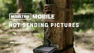 How To Troubleshoot A Moultrie Mobile Cellular Game Camera Not Sending Pictures