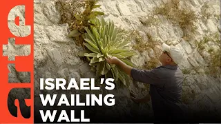 Israel: The New Environmentalists I ARTE.tv Documentary