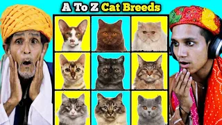 Villagers React To 98 Cat Breeds ! Tribal People React To A To Z Cat Breeds
