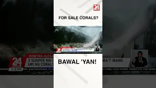 3 suspek na nagbebenta umano ng iba’t ibang uri ng corals, arestado #shorts | 24 Oras