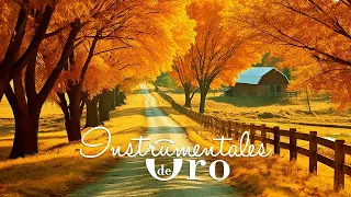 Incredibly Beautiful Autumn Melody! Great Relaxing Romantic 70s 80s 90s