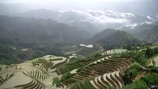 Dragon's backbone rice terraces Dazhai Longsheng China