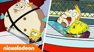 SpongeBob SquarePants | Mevrouw Puffs Vaarschool | Nickelodeon Nederlands