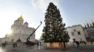 Главную новогоднюю елку России установили на Соборной площади Кремля