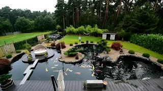 Modern Koi Blog #2065 - Günters selbstgebaute traumhafte Teichlandschaft