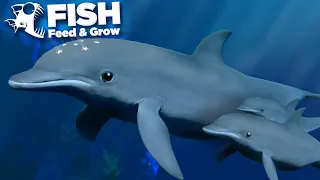 THE GIANT DOLPHIN POD!!! - Fish Feed and Grow | HD