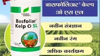 Basfoliar Kelp O SL (Dhanshree Agro Industries)