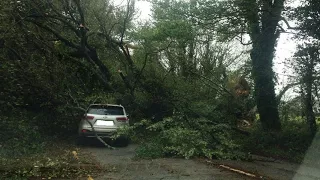 3 dead as ex-hurricane Ophelia hits Ireland