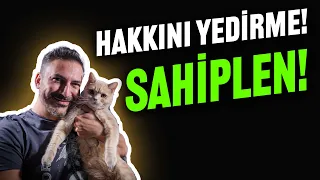 TELİF HAKKI, ZAMAN DAMGASI, ESER KORUMANIN KOLAY YOLU SAHİPLEN!