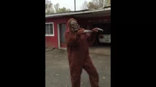 bigfoot dancing