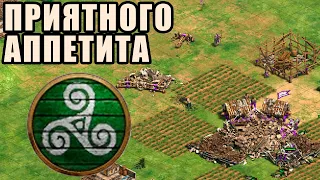 КАК ПРАВИЛЬНО КУШАТЬ ТЦ | Винча разбирает билд Хоанга в Age of Empires 2