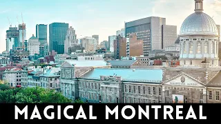 Visiting Montreal Can Be A Mind-Blowing Experience