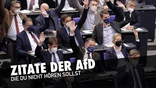 AfD Zitate die Du nicht hören sollst | Menschenverachtung par excellence