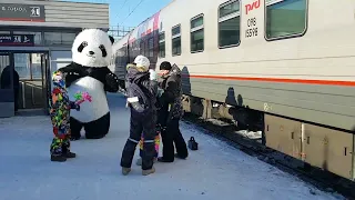 Москва - Владивосток 7 дней на поезде с собаками и кошками. Часть 1