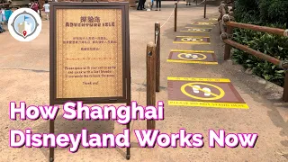 Shanghai Disneyland Reopening | How the Park Works Now With Social Distancing