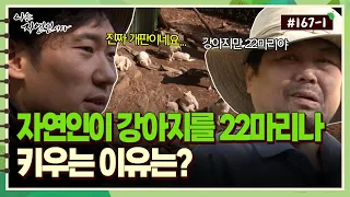 [자연인] 167-1 강아지만 22마리?! 자연인이 강아지를 이렇게 많이 키우는 이유는?