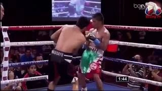 Mark 'Magnifico' Magsayo One Punch Knock Outs