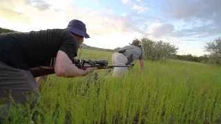 Hunting in Africa