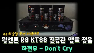 음질 미쳤다! 윌센톤 R8 KT88 진공관 앰프 청음 (하현우 - 돈크라이)