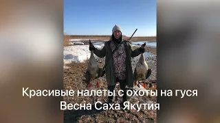 Охота Саха Якутия / красивые налёты