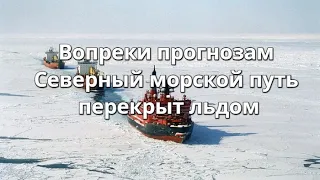 Вопреки прогнозам Северный морской путь перекрыт льдом