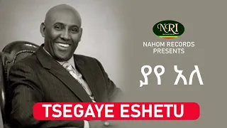 Tsegaye Eshetu - Yaye Ale - ፀጋዬ እሸቱ - ያየ አለ - Ethiopian Music