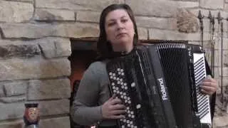 Мой ласковый нежный зверь Michigan accordion player
