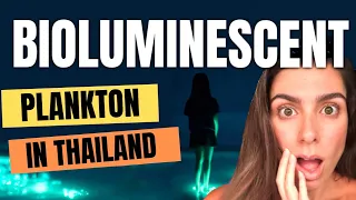 UNBELIEVABLE! Island Hopping Adventure with Mind-Blowing Bioluminescent Plankton at Phi Phi Island!