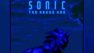 Sonic Says... 2