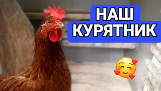 ОБЗОР НА НАШ КУРЯТНИК!