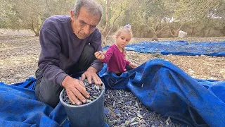 Так мы делаем Домашнее Оливковое Масло