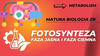 Fotosynteza. Matura Biologia ZR