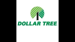 Dollar Tree Haul ( New Finds)