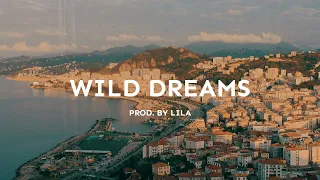 [FREE]AFROSWING x DANCEHALL TYPE BEAT -WILD DREAMS AFROBEAT x AFROSWING INSTRUMENTAL 2023