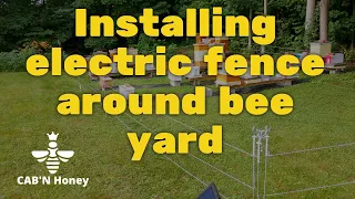 Installing electric fence around bee yard #Blackbear #Beekeeper #Honeybee