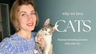 STORIES OF MY LIFE. Why we love cats. Learn Russian through authentic content. English subtitles A2+