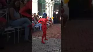 Apresentação Ladybug e Catnoir Bekalândia festas Recife