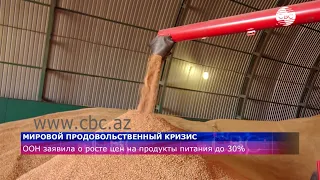 Мировой продовольственный кризис: ООН заявила о росте цен на продукты питания до 30%