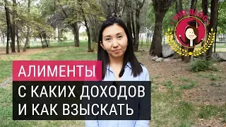 Алименты. С каких доходов и как взыскать?