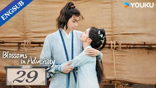 [Blossoms in Adversity] EP29 | Make comeback after family's downfall | Hu Yitian/Zhang Jingyi |YOUKU