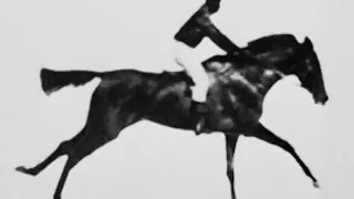 The First Motion Picture: The Horse In Motion (1878) | Eadweard Muybridge ft.Sallie Gardner (Horse)